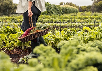 TENDENCIAS GASTRONÓMICAS QUE PODRÍAN DEFINIR 2025